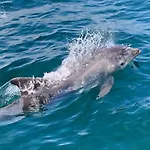 Maison Proche Mont St Michel *